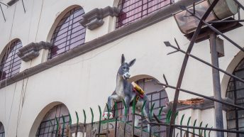 Peru 107 344x193 - Śladami Ink&oacute;w - Południe Peru