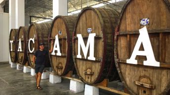 W pustyni, bez puszczy - zachodnie wybrzeże Peru Peru 15 344x193 - W pustyni, bez puszczy - zachodnie wybrzeże Peru