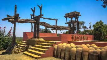 W pustyni, bez puszczy - zachodnie wybrzeże Peru Peru 18 344x193 - W pustyni, bez puszczy - zachodnie wybrzeże Peru