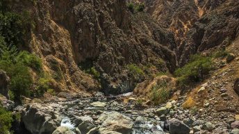 W pustyni, bez puszczy - zachodnie wybrzeże Peru Peru 47 344x193 - W pustyni, bez puszczy - zachodnie wybrzeże Peru