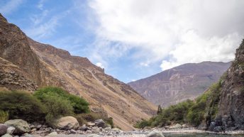 W pustyni, bez puszczy - zachodnie wybrzeże Peru Peru 48 344x193 - W pustyni, bez puszczy - zachodnie wybrzeże Peru