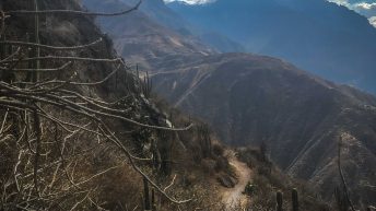 W pustyni, bez puszczy - zachodnie wybrzeże Peru Peru 53 344x193 - W pustyni, bez puszczy - zachodnie wybrzeże Peru