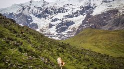 Peru 69 249x140 - Najbardziej wyjątkowe miejsca Ameryki Południowej