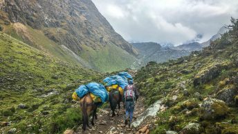 Peru 70 344x193 - Śladami Ink&oacute;w - Południe Peru