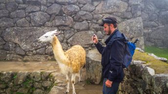 Peru 91 344x193 - Śladami Ink&oacute;w - Południe Peru