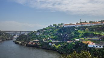 Portugalia Porto 15  344x193 - PORTUGALIA - PORTO