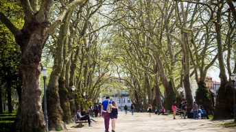 Portugalia Porto 28 344x193 - PORTUGALIA - PORTO