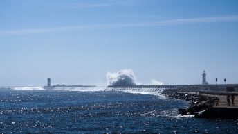 Portugalia Porto 9  344x193 - PORTUGALIA - PORTO