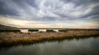 Puno 1 344x193 - Śladami Ink&oacute;w - Południe Peru