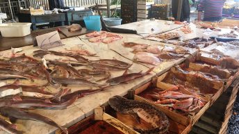 SYCYLIA 13 344x193 - WŁOCHY - SYCYLIA