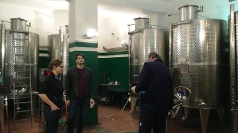 SYCYLIA 9 344x193 - WŁOCHY - SYCYLIA