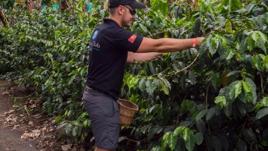 Salento 15 16.09 11 534x300 - Zona Cafetera, czyli kraina (nie tak pysznej) kawy