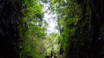 Salento 15 16.09 16 344x193 - Zona Cafetera, czyli kraina (nie tak pysznej) kawy