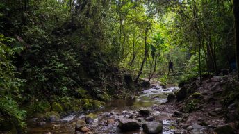 Salento 15 16.09 18 344x193 - Zona Cafetera, czyli kraina (nie tak pysznej) kawy