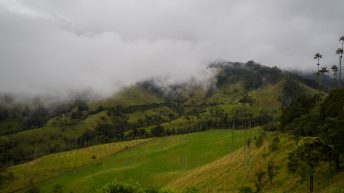 Salento 15 16.09 6 344x193 - Zona Cafetera, czyli kraina (nie tak pysznej) kawy