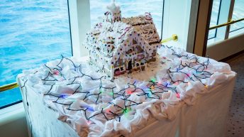 Statek 10 344x193 - W drodze na Antarktydę - Falklandy