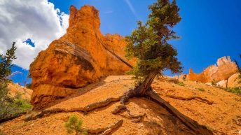 UB 2 344x193 - Wild, wild west - USA cz.1