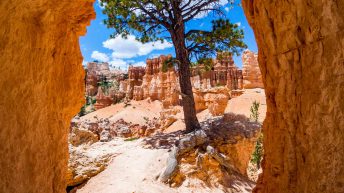 UB 3 344x193 - Wild, wild west - USA cz.1