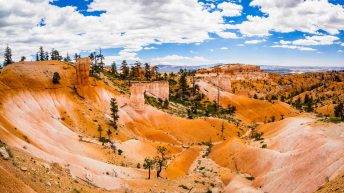 UB 4 2 344x193 - Wild, wild west - USA cz.1