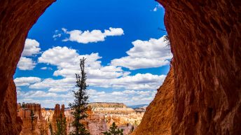 UB 5 344x193 - Wild, wild west - USA cz.1