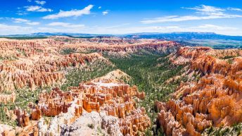UB1 2 344x193 - Wild, wild west - USA cz.1