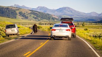 Tropem bizonów i misia Yogi - USA cz.2 USA2 101 344x193 - Tropem bizonów i misia Yogi - USA cz.2