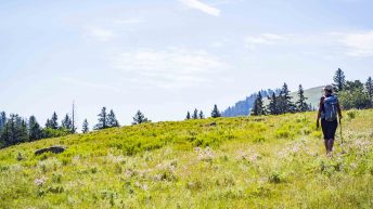 Tropem bizonów i misia Yogi - USA cz.2 USA2 117 344x193 - Tropem bizonów i misia Yogi - USA cz.2