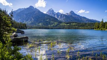 Tropem bizonów i misia Yogi - USA cz.2 USA2 2 344x193 - Tropem bizonów i misia Yogi - USA cz.2