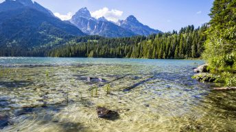 Tropem bizonów i misia Yogi - USA cz.2 USA2 3 344x193 - Tropem bizonów i misia Yogi - USA cz.2