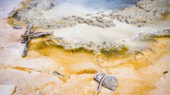 Tropem bizonów i misia Yogi - USA cz.2 USA2 54 344x193 - Tropem bizonów i misia Yogi - USA cz.2