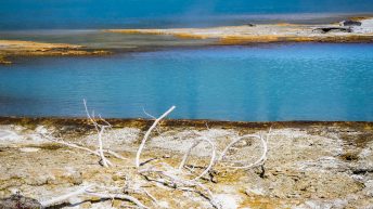 Tropem bizonów i misia Yogi - USA cz.2 USA2 60 344x193 - Tropem bizonów i misia Yogi - USA cz.2