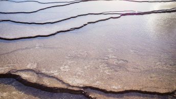 Tropem bizonów i misia Yogi - USA cz.2 USA2 78 344x193 - Tropem bizonów i misia Yogi - USA cz.2