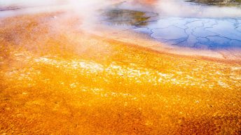 Tropem bizonów i misia Yogi - USA cz.2 USA2 80 344x193 - Tropem bizonów i misia Yogi - USA cz.2