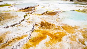 Tropem bizonów i misia Yogi - USA cz.2 USA2 87 344x193 - Tropem bizonów i misia Yogi - USA cz.2