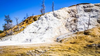 Tropem bizonów i misia Yogi - USA cz.2 USA2 96 344x193 - Tropem bizonów i misia Yogi - USA cz.2