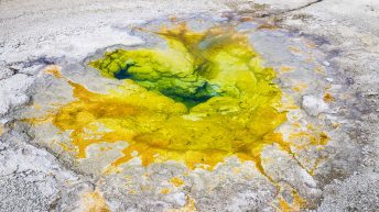 Tropem bizonów i misia Yogi - USA cz.2 USA2a 13 344x193 - Tropem bizonów i misia Yogi - USA cz.2