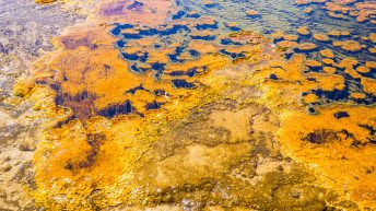 Tropem bizonów i misia Yogi - USA cz.2 USA2a 14 344x193 - Tropem bizonów i misia Yogi - USA cz.2