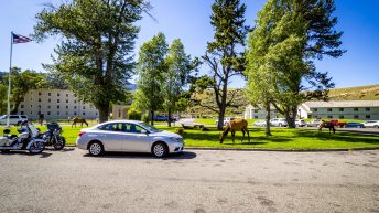 Tropem bizonów i misia Yogi - USA cz.2 USA2a 22 344x193 - Tropem bizonów i misia Yogi - USA cz.2