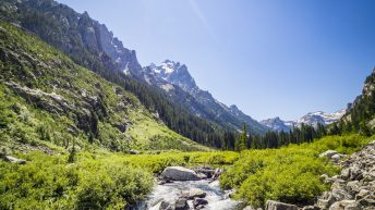 Tropem bizonów i misia Yogi - USA cz.2 USA2a 5 344x193 - Tropem bizonów i misia Yogi - USA cz.2