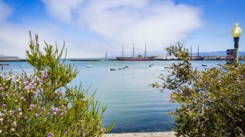 USA3 33 344x193 - Pożegnanie z Ameryką - USA cz.3