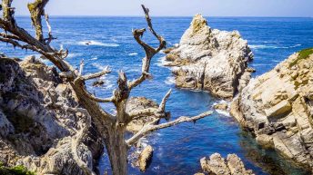 USA3 54 344x193 - Pożegnanie z Ameryką - USA cz.3