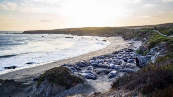 USA3 60 344x193 - Pożegnanie z Ameryką - USA cz.3