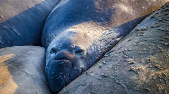 USA3 61 344x193 - Pożegnanie z Ameryką - USA cz.3