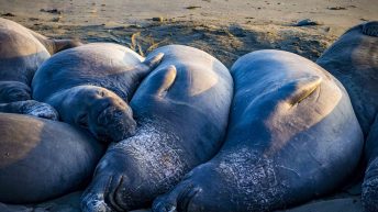 USA3 62 344x193 - Pożegnanie z Ameryką - USA cz.3