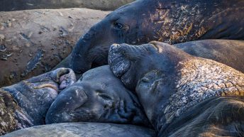 USA3 64 344x193 - Pożegnanie z Ameryką - USA cz.3