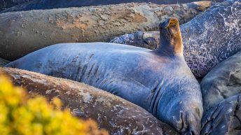 USA3 65 344x193 - Pożegnanie z Ameryką - USA cz.3