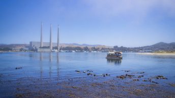 USA3 71 344x193 - Pożegnanie z Ameryką - USA cz.3