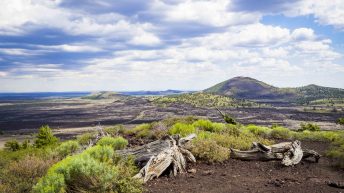 USA3 9 344x193 - Pożegnanie z Ameryką - USA cz.3
