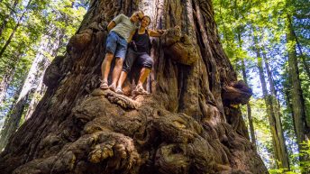 USA3a 10 344x193 - Pożegnanie z Ameryką - USA cz.3