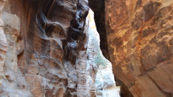 correctedDSC 0371 344x193 - JORDANIA